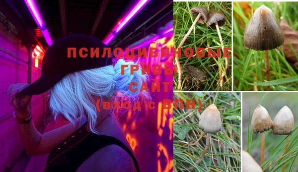 spice Абинск