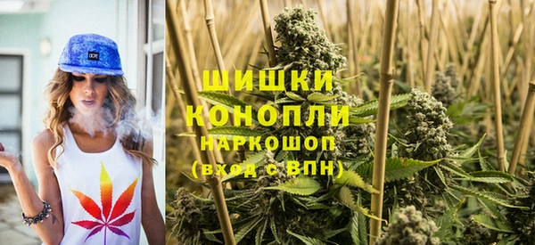 spice Абинск